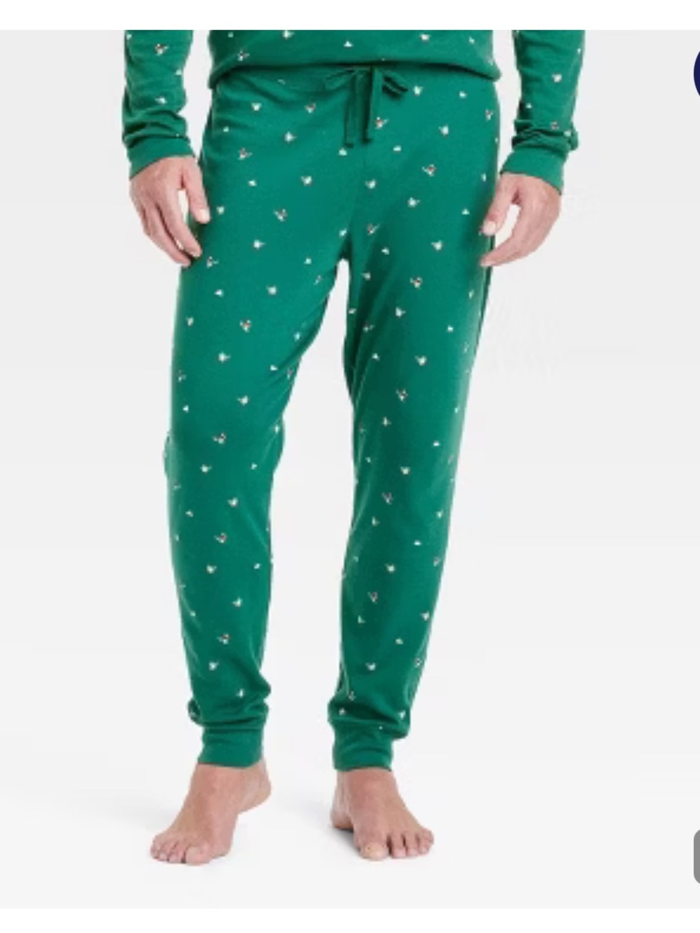 Wondershop Men’s Green Polar Bear Print Cotton Ribbed Holiday Pajama Pant Size L